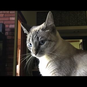 Meet your Posher, Terry